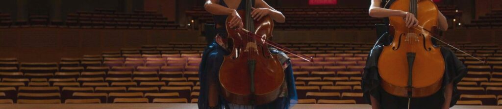 10 Best Cellos – Feel Every String Of Your Soul